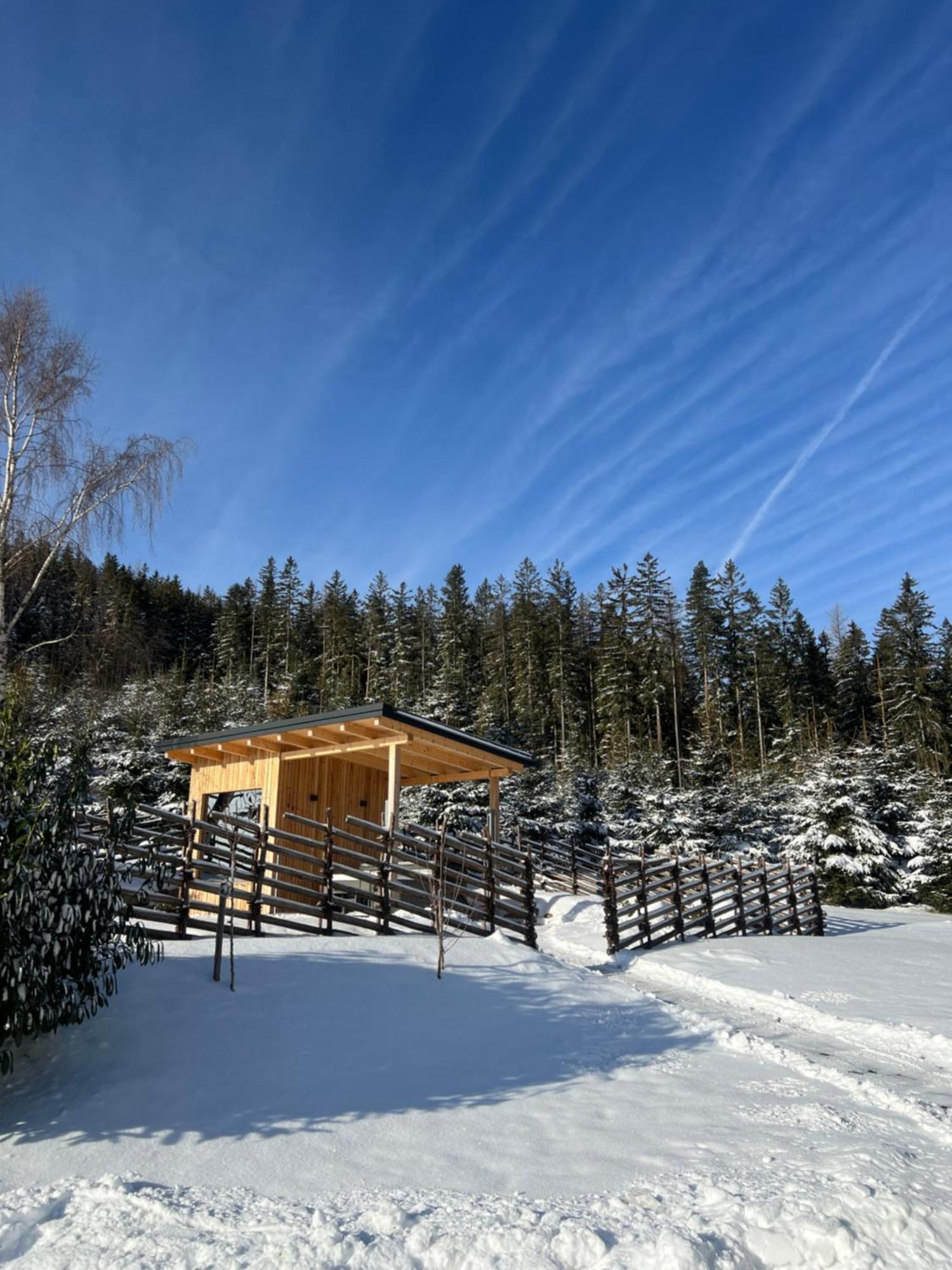 Вілла Waldheimatblick Sankt Kathrein am Hauenstein Екстер'єр фото